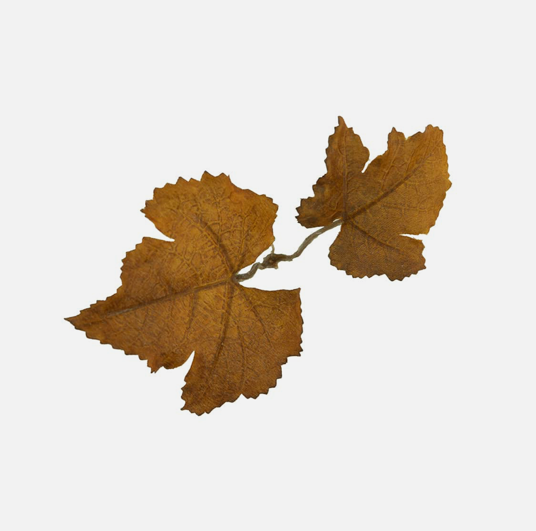 Novritsch - Leaf Camo - LC1