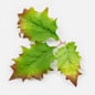 Novritsch - Leaf Camo - LC5